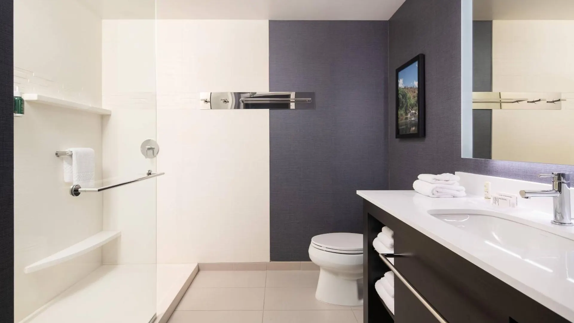 Hotel Residence Inn By Marriott Scottsdale Salt River